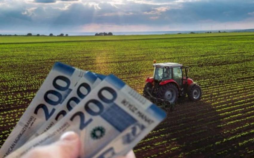 AKİA ötən il işğaldan azad edilmiş ərazilərdə 20 milyon manat subsidiya ödəyib