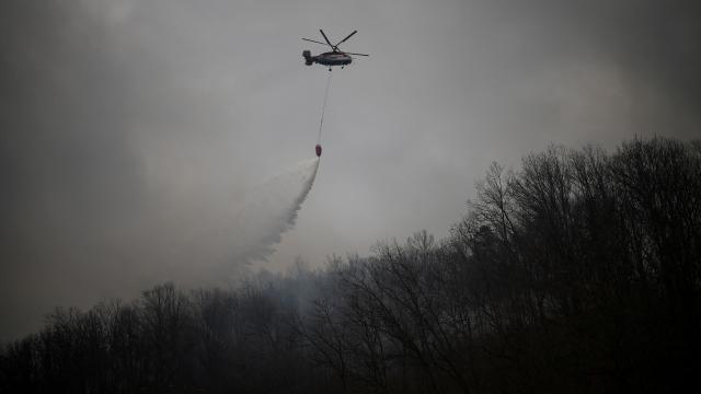 Cənubi Koreyada meşə yanğınına müdaxilə edərkən qəzaya uğrayan helikopterin pilotu ölüb