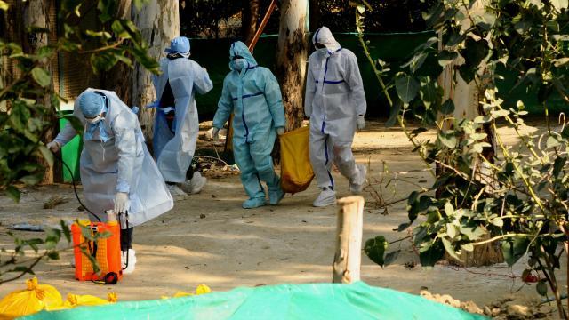 Meksikada ilk dəfə insanda H5N1 quş qripi ştammı aşkar edilib