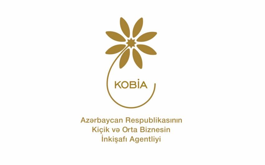 KOBİA sahibkarların 27 "yaşıl layihə"sinə ayırdığı vəsaiti açıqlayıb