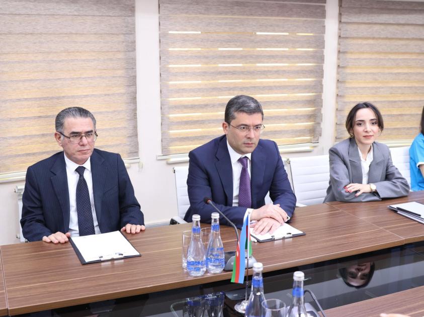 MEDİA-nın səkkizinci könüllülük proqramı başlayıb