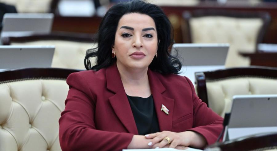 "Ana dilimiz milli kimliyimizin, milli varlığımızın ən mühüm göstəricilərindən biridir"