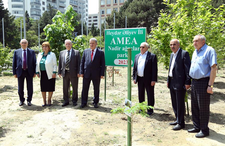 AMEA-da təmizlik və yaşıllaşdırma günləri