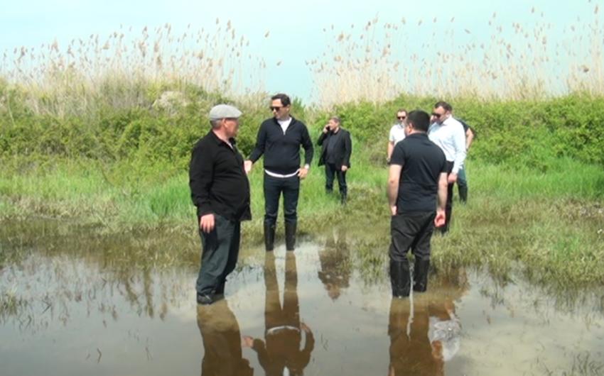 "Fermerlərə dəymiş zərərlə bağlı 120-dən artıq müraciət daxil olub" -  Aqrar Sığorta Fondu