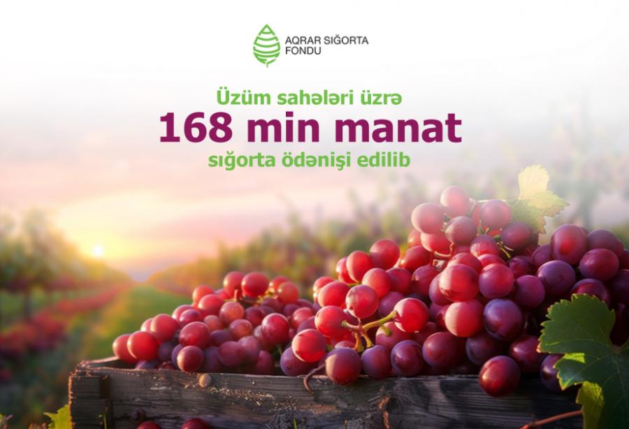 Üzüm sahələri üzrə 168 min manat sığorta ödənişi edilib