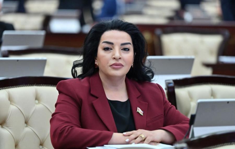 "Cəbrayıl yenidən dirçəlir" - Millət vəkili