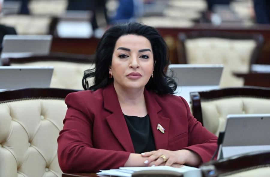 "Qarşıda böyük işlər, ciddi məsuliyyətlər var" - Millət vəkili