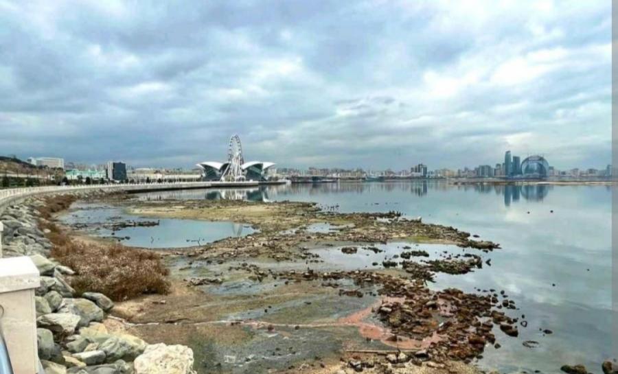 Xəzər dənizinin dayazlaşması: biomüxtəlifliyə və ekosistemə təhdid