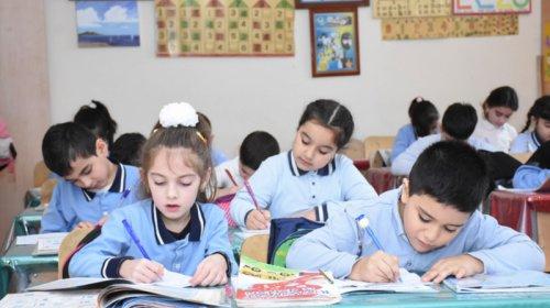 Bu istiqamətdə müəyyən düzəlişlər olunmalıdır - Rəy