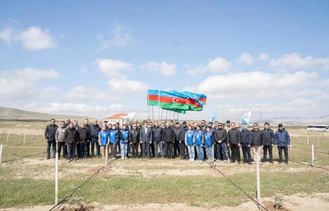 Müşfiqabadda ağacəkmə aksiyası keçirilib