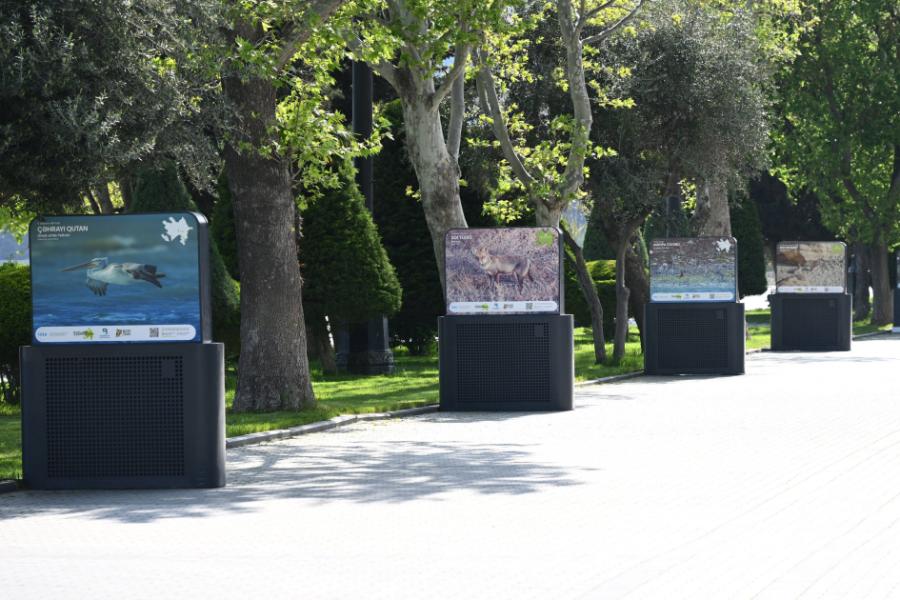 Bakıda “Azərbaycan təbiətinin izi ilə” adlı sərgi keçirilir