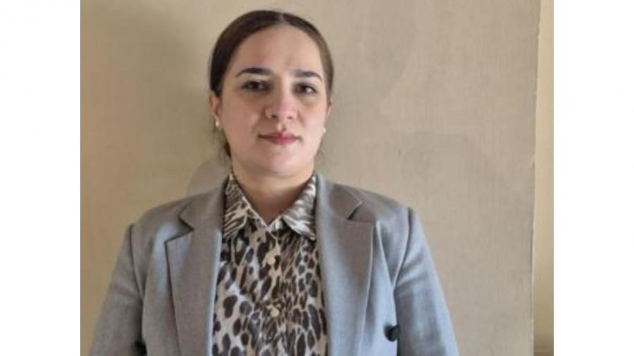Şəbəkə pəncərələri və arı mumu