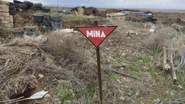 Azad edilmiş ərazilərdə daha 113 mina, 514 PHS aşkarlanıb