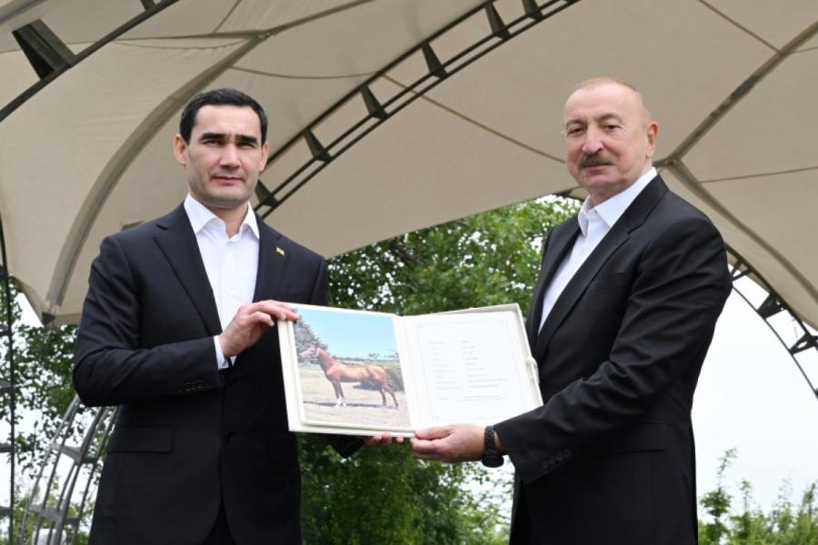 Fotoreportaj - Türkmənistan Prezidentinə Qarabağ atı hədiyyə edilib