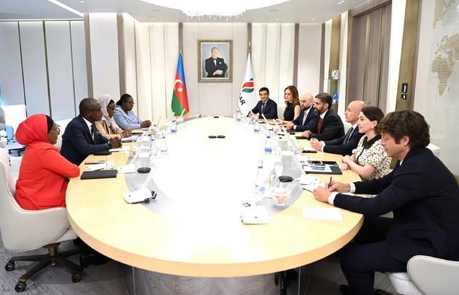 SOCAR "Baleine" yatağında görülən işləri nəzərdən keçirib