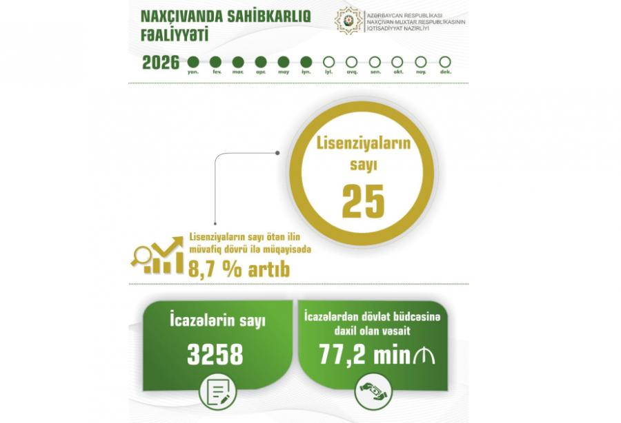 Naxçıvanda sahibkarlara verilən lisenziyaların sayı 8,7 faiz artıb