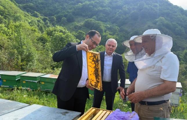 Kəlbəcərdə təsərrüfatlara və tikinti işlərinə baxış keçirilib
