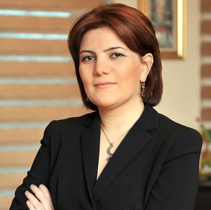 “İnternet media hazırda xaotik vəziyyətdədir”<b style="color:red"></b>