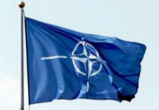 NATO PA-nın prezidenti Azərbaycana gəlib<b style="color:red"></b>