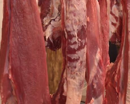 Bakda mənşəyi məlum olmayan 3 ton ət aşkarlanıb<b style="color:red"></b>