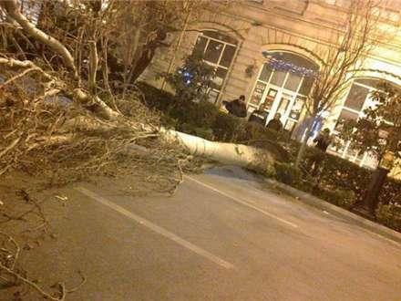 Güclü külək Bakıda fəsadlar törətdi<b style="color:red"></b>