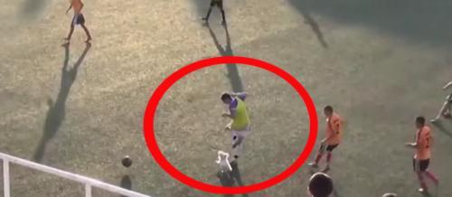 Futbolumuzda maraqlı olay: it meydana girdi, oyunçuya hücum çəkdi - <b style="color:red">Video</b>
