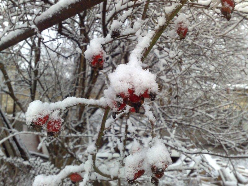 Qar yağacaq<b style="color:red"></b>