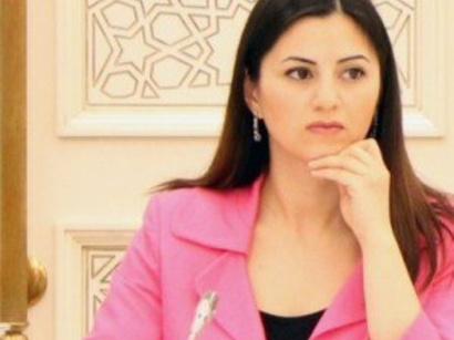 “Hesabat məruzəçinin qərəzli mövqedə olduğunu sübut etdi”<b style="color:red"></b>