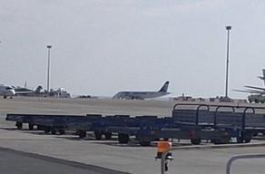 "EgyptAir"in qaçırılmış təyyarəsinin yerli sərnişinləri azad edilib - <b style="color:red">Video</b>