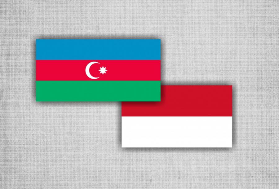 Azərbaycanla İndoneziyanın enerji sahəsində əməkdaşlığı müzakirə olunub<b style="color:red"></b>