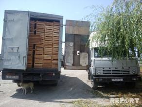 Rusiya gömrüyündə yoxlamalar ciddi problem yaradır <b style="color:red"></b>