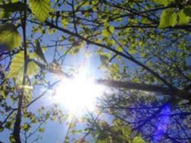 Havanın temperaturu 29 dərəcəyə yüksələcək<b style="color:red"></b>