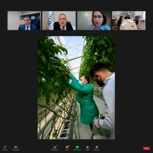 İstixanalarda videomonitorinqlər davam edir