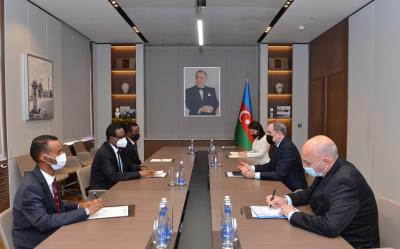 Ceyhun Bayramov Böyük Britaniyanın nümayəndə heyəti ilə görüşüb