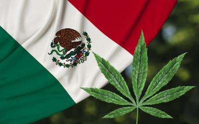 Meksikada narkotikdən istifadə leqallaşdırıldı