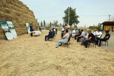 Dövlət dəstəkli ilk aqrar sığorta ödənişi həyata keçirilib