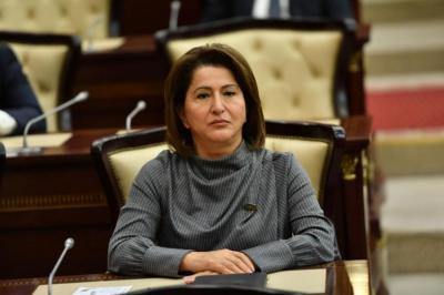 "Şərqi Zəngəzur iqtisadi rayonunun yaradılması tarixi ədalətin bərpasıdır" 