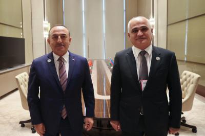 Türkiyə XİN başçısı Şahin Mustafayevlə görüşüb