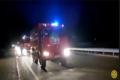 FHN-nin növbəti qrupu Gürcüstan ərazisindən Türkiyəyə doğru hərəkət edir - Video