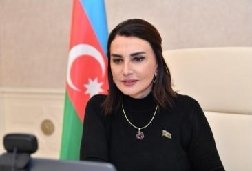 “Ölkəmiz haqqında Jirinovski kimi sərsəm fikirlər səsləndirənlər az olmayıb” - Jalə Əliyeva