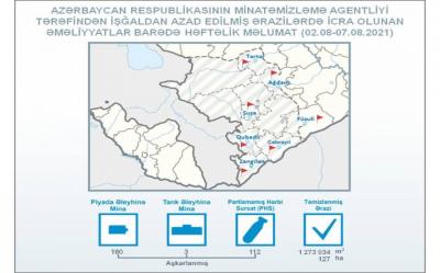 Azad olunan ərazilərdə daha 183 mina aşkarlanıb