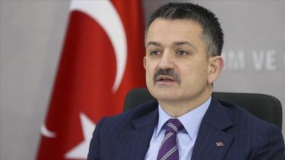 "Türkiyədə böyük yanğınlar söndürülüb"
