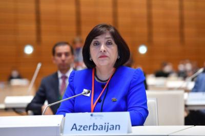 Sahibə Qafarova beynəlxalq konfransda çıxış edib