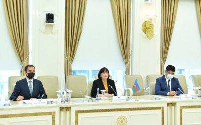 Sahibə Qafarova Qazaxıstan parlamentinin nümayəndə heyəti ilə görüşüb