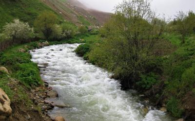 Moldova mətbuatı Oxçuçayın çirkləndirilməsindən yazdı