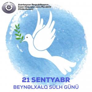 Səbinə Əliyeva beynəlxalq təşkilatlara müraciət ünvanlayıb