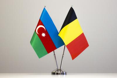 Energetika naziri Belçika Krallığının Azərbaycandakı səfirini qəbul edib