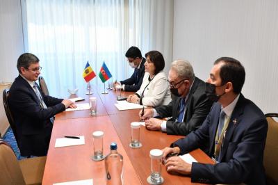 Sahibə Qafarova Moldova Parlamentinin sədri ilə görüşüb