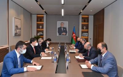 Ceyhun Bayramov Braziliya Senatının üzvü ilə görüşüb