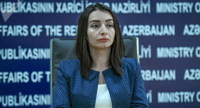 Leyla Abdullayeva bir sıra məsələlərə aydınlıq gətirib